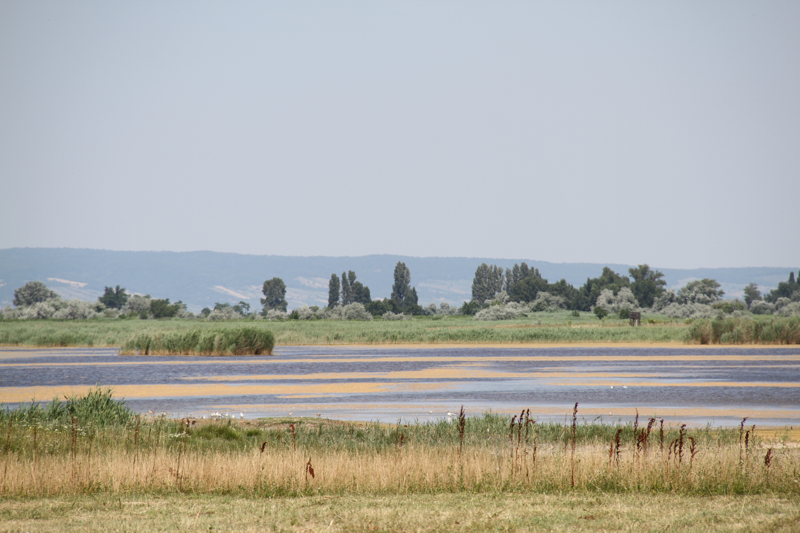 Seewinkel Landschaft Seewinkel Landschaft