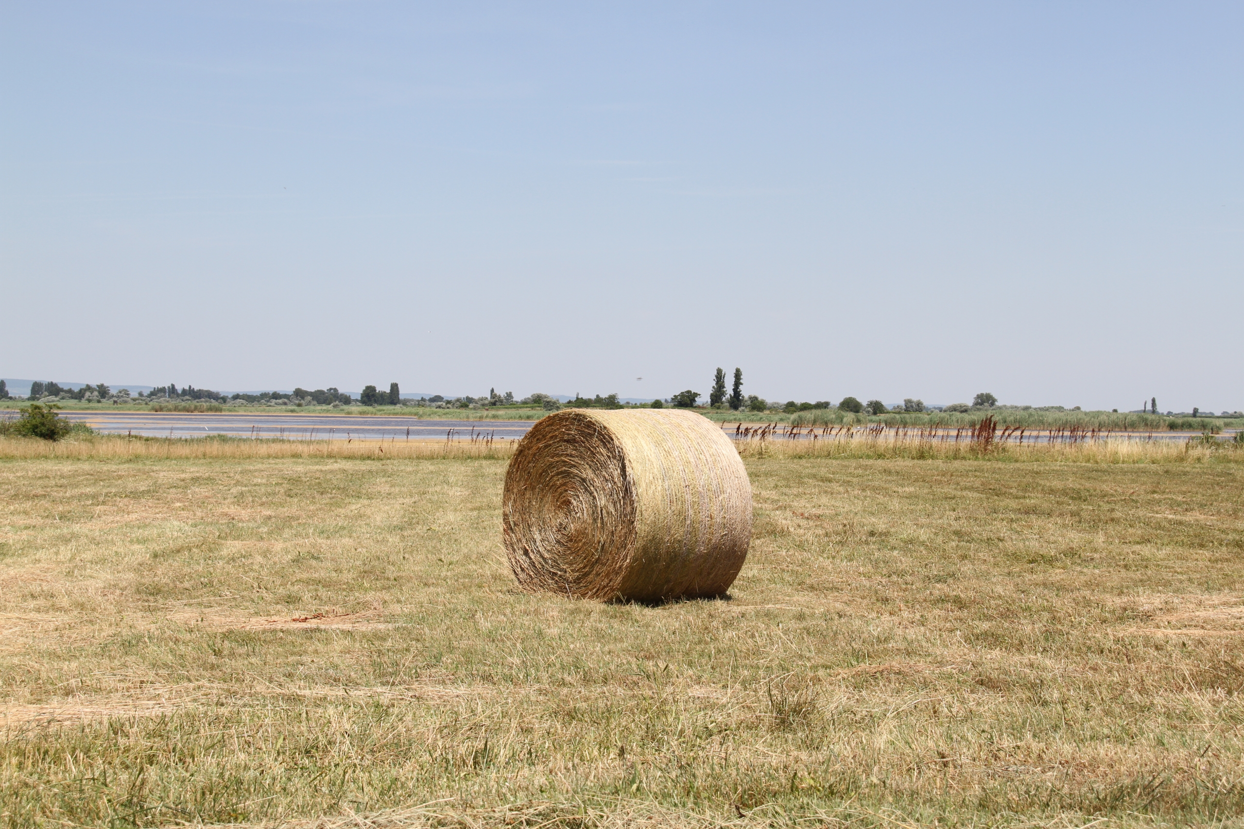 Strohballen im Seewinkel Strohballen im Seewinkel