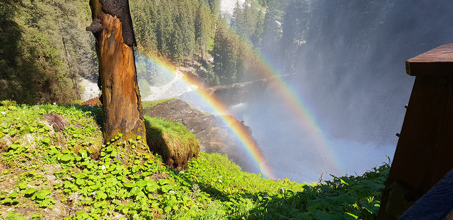 Regenbogen